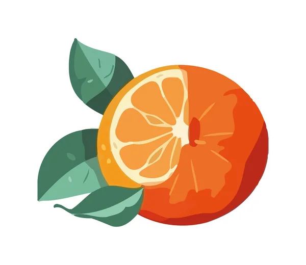 新鲜柑橘类水果象征着健康的夏季食用图标隔离 — 图库矢量图片
