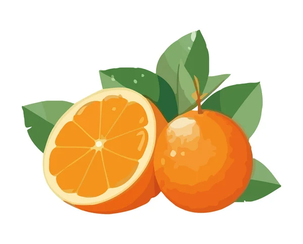 新鮮な柑橘類は健康的な夏を象徴する孤立したアイコンを食べる — ストックベクタ