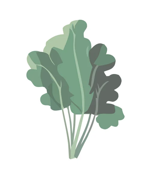 Salade Bio Fraîche Avec Des Ingrédients Sains Icône Isolé — Image vectorielle