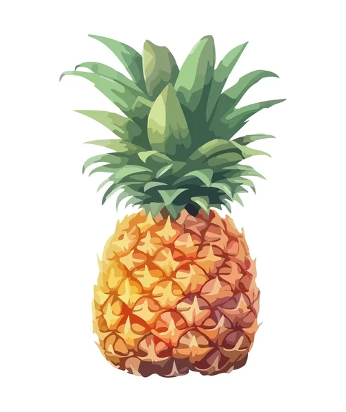 Ripe Pineapple Fresh Juicy Tropical Snack Icon Isolated — Stock Vector