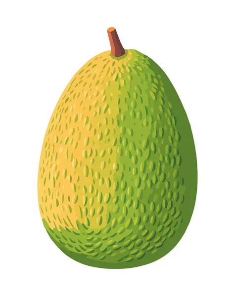 Mogen Tropisk Exotisk Frukt Brödfrukt Illustration Ikon Isolerad — Stock vektor