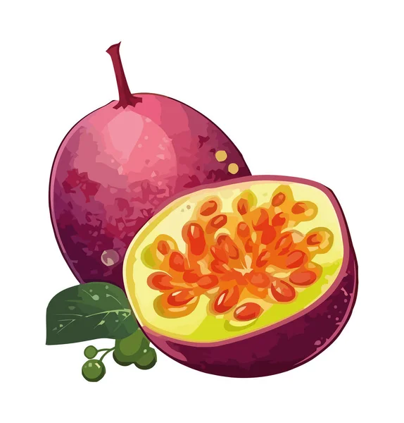 Ζουμερά Φρούτα Του Πάθους Φέτα Σύμβολο Της Φρεσκάδας — Διανυσματικό Αρχείο
