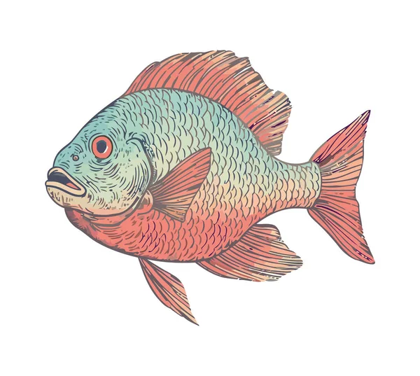 Ryby Plavání Zvíře Bílém Pozadí Ikona Izolované — Stockový vektor