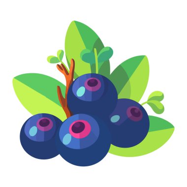 Meyveli yaban mersini, taze ve taze, izole edilmiş ikon yemek için.