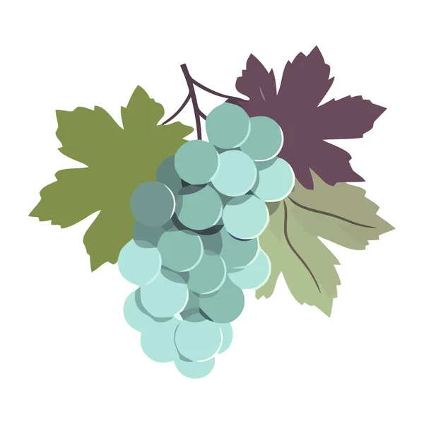 Juicy Grapes Vine Ripe Winemaking Icon Isolated — Stock Vector