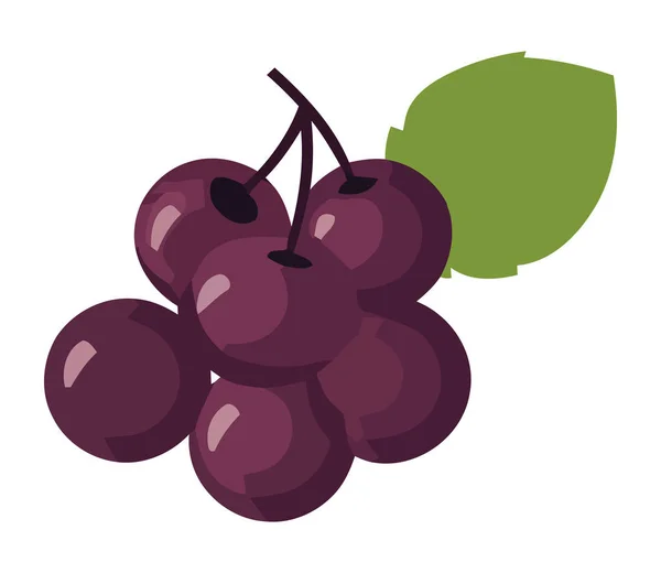 Juicy Grape Bunch Ripe Healthy Eating Icon Isolated — Stock Vector