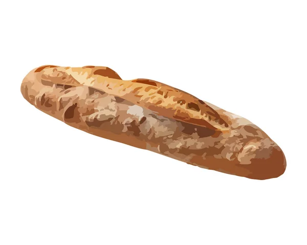 Свіжий Запечений Хліб Ідеально Підходить Обіднього Часу Сендвіч Ізольований — стоковий вектор