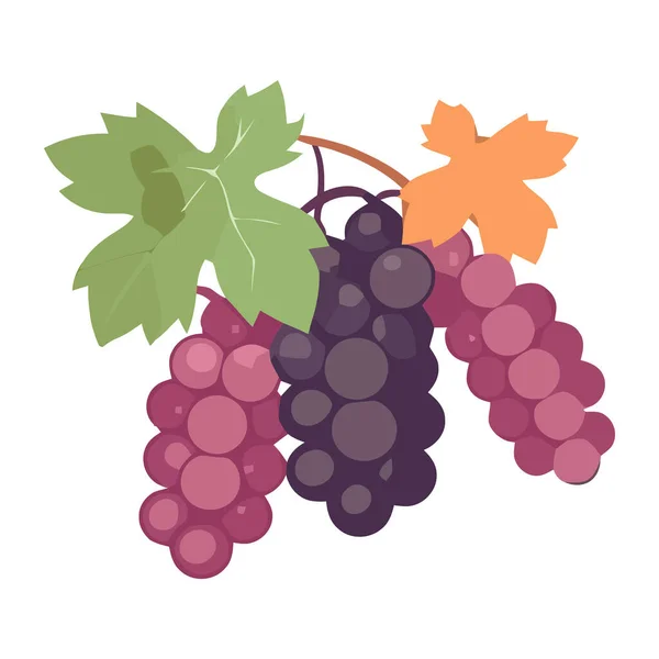 Ripe Grape Bunches White Backdrop Icon Isolated — Stock Vector