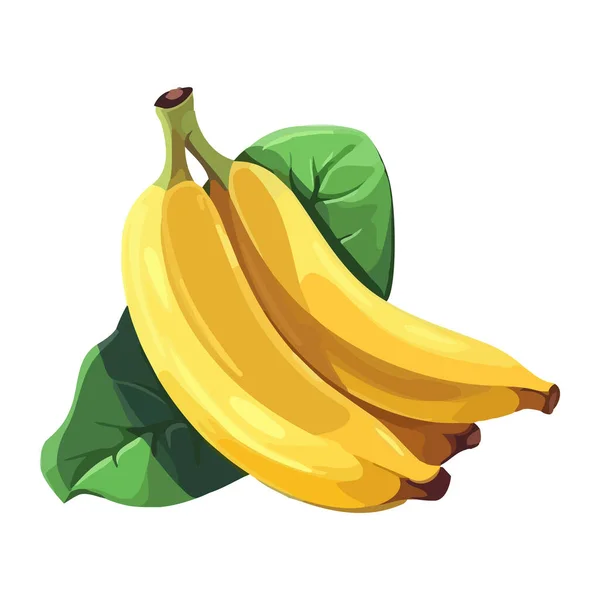 Banane Mûre Fruits Frais Icône Collation Saine Isolée — Image vectorielle