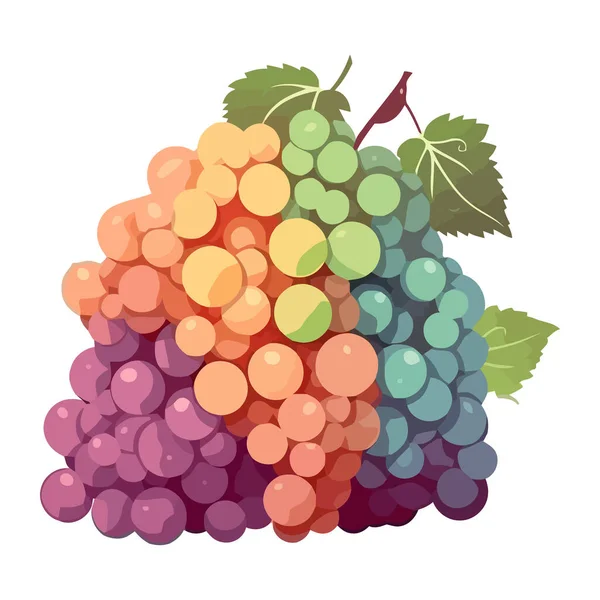 Frische Obsttrauben Und Blattsymbol Isoliert — Stockvektor