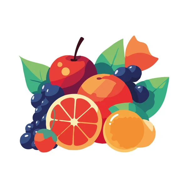 新鲜的有机水果象征着健康的饮食图标被隔离 — 图库矢量图片