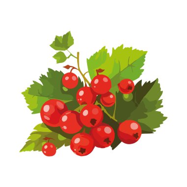 Olgun meyve yeşil yaprak dal simgesi izole