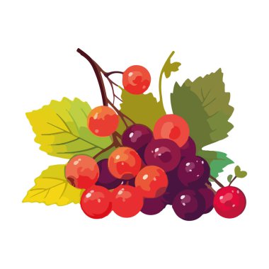 Olgun meyve taze yeşil yaprak ikonu izole