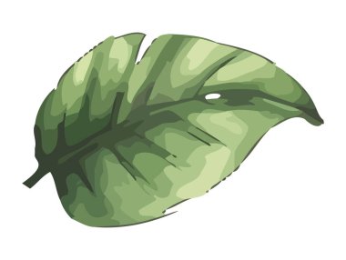 Organik el yapımı yaprak yalıtılmış büyüme simgesini sembolize eder