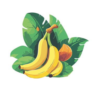 Taze muz, olgun ve sağlıklı, doğa tatlısı ikonu izole