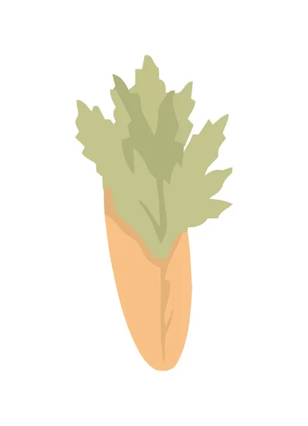 Świeże Warzywa Organiczne Ikona Zdrowego Posiłku Izolowana — Wektor stockowy
