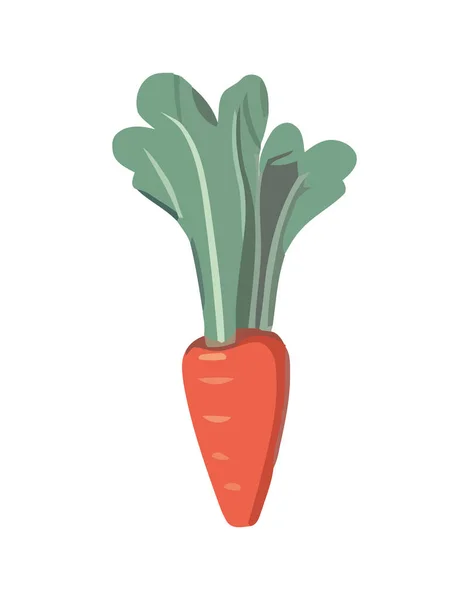 新鲜胡萝卜蔬菜 健康素食图标隔离 — 图库矢量图片