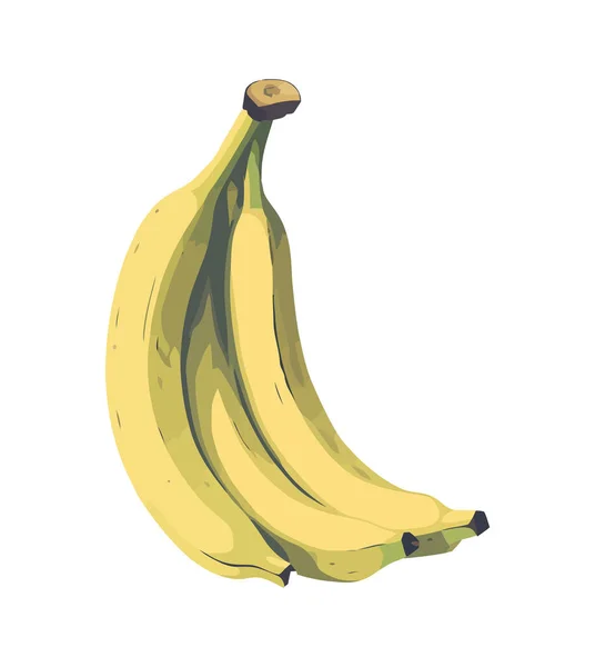Изолированный Спелый Банан Тропические Фрукты — стоковый вектор