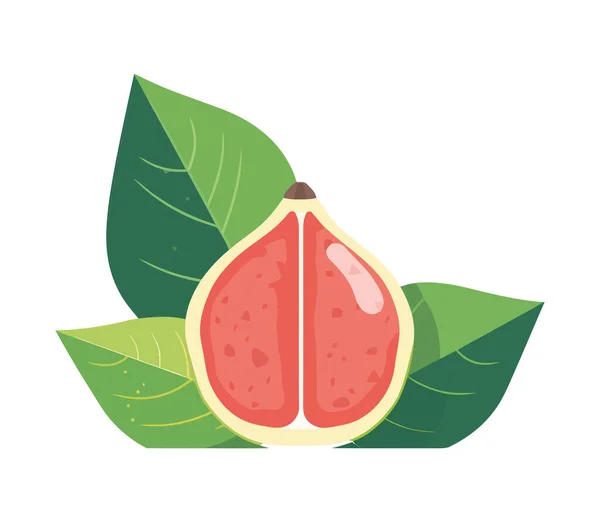 Rebanada Fruta Tropical Guayaba Icono Alimentación Saludable Aislado — Vector de stock
