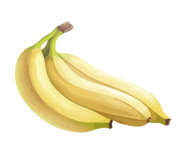 Banane Mûre Symbole Saine Alimentation Icône Isolé — Image vectorielle