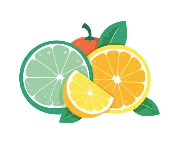 多汁的柑橘片把新鲜的夏季餐图标分离出来 — 图库矢量图片
