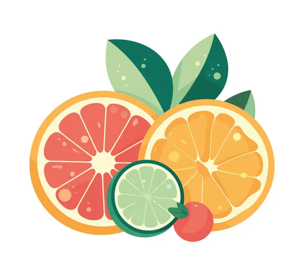 新鲜柑橘类水果 新鲜到夏天图标隔离 — 图库矢量图片