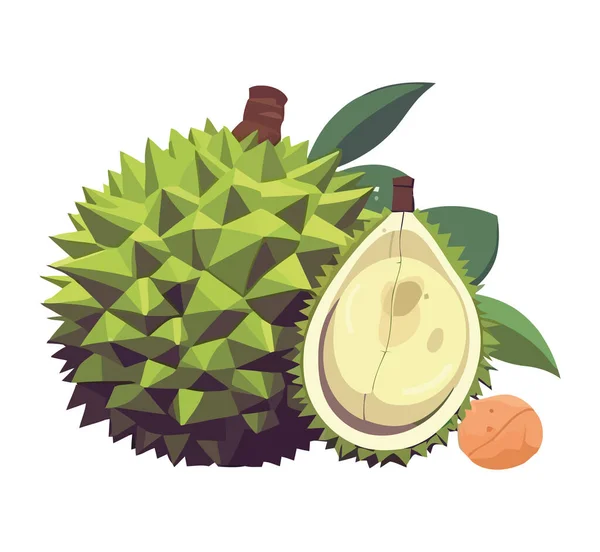 Ripe Fruit Durian Healthy Eating Freshness Icon Isolated — Stock Vector