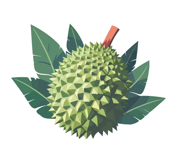 Frutta Fresca Biologica Durian Sana Estate Icona Mangiare Isolato — Vettoriale Stock