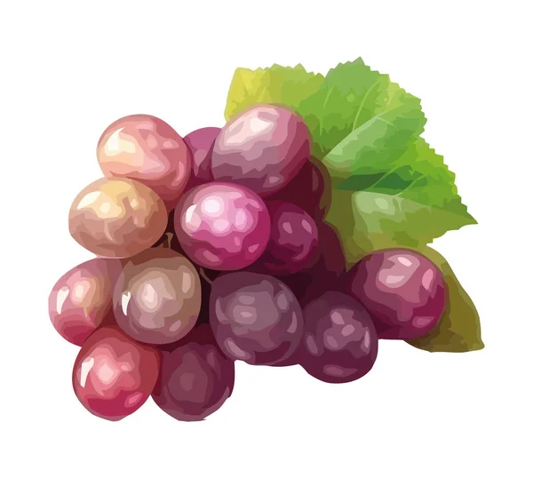 Свежий Фруктовый Виноград Икона Здорового Питания — стоковый вектор
