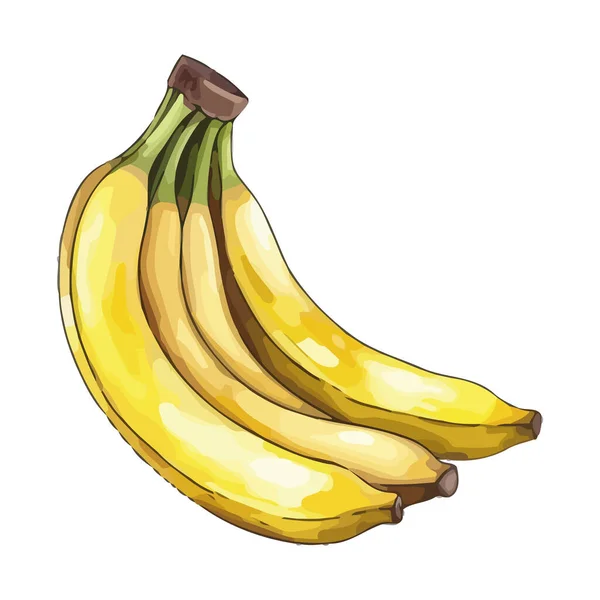 Banana Madura Lanche Saudável Para Vegetarianos Ícone Isolado — Vetor de Stock