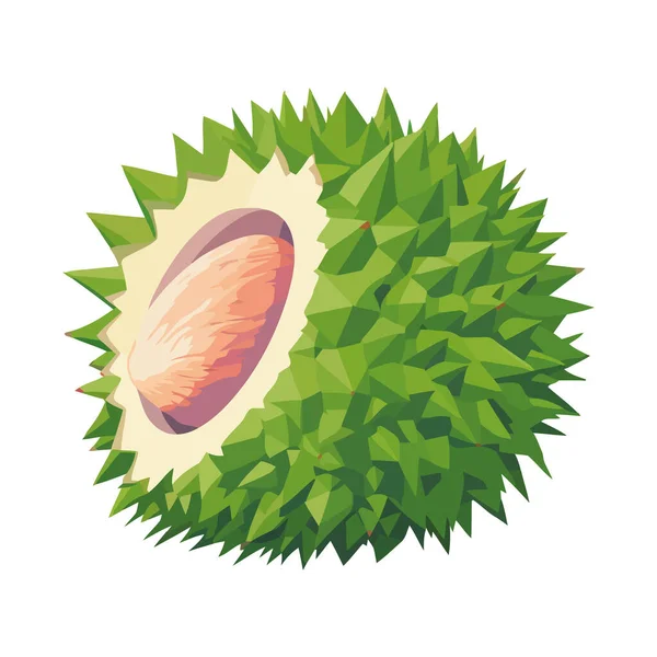 Ripe Durian Tropisch Fruit Pictogram Geïsoleerd — Stockvector