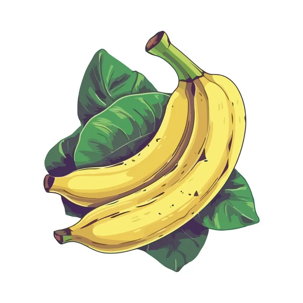 Banana Orgânica Fresca Ícone Opção Lanche Saudável Isolado — Vetor de Stock