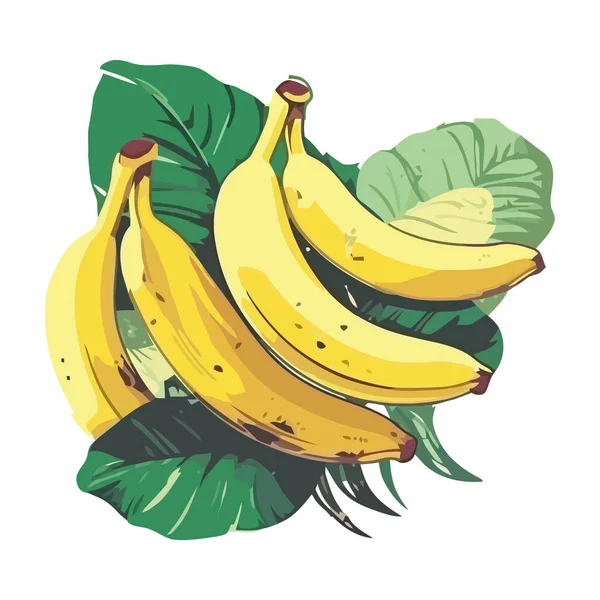 Banana Madura Frutas Frescas Ícone Lanche Saudável Isolado — Vetor de Stock
