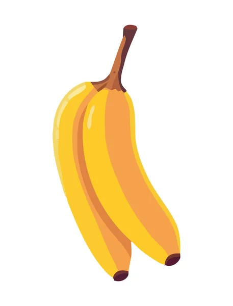Ícone Banana Frutas Tropicais Frescas Isolado — Vetor de Stock