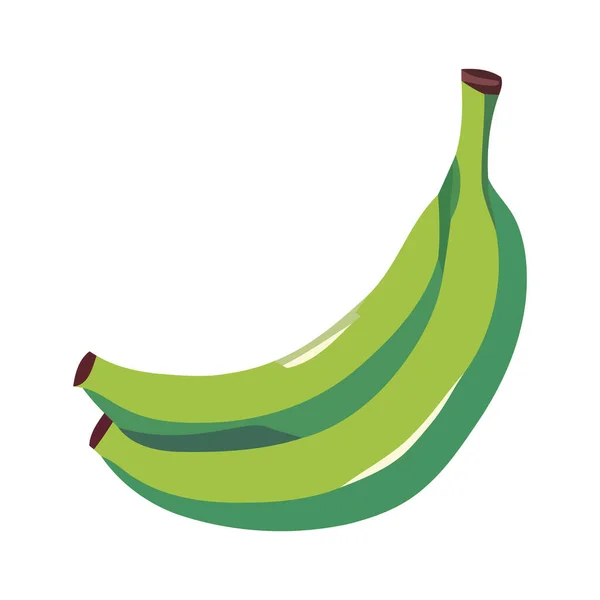 Plátano Verde Fruta Tropical Icono Aislado — Vector de stock