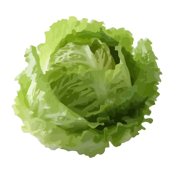 Chou Bio Frais Une Icône Repas Végétarien Sain Isolé — Image vectorielle