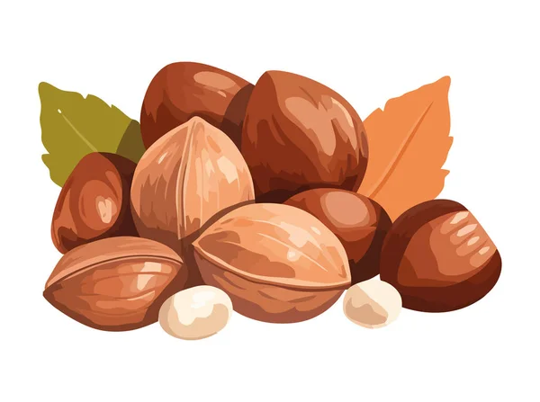 Nutty Autumn Snack Hazelnut Almond Walnut Icon Isolated — Stock Vector