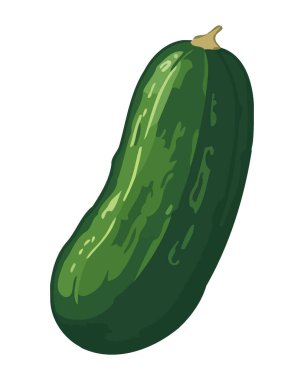 Taze organik sebzeler, izole edilmiş ikon yemek için olgun ve sağlıklı.