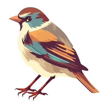 Küçük ispinoz tüyü, renkli tüy ikonu izole