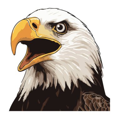 Kel kartal saldırganlıkla bağırıyor, yüksekten uçan ikon izole edilmiş.