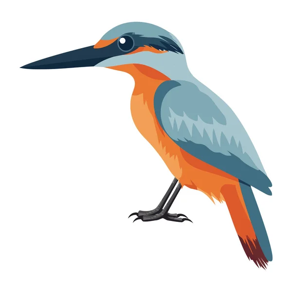 Mignon Oiseau Plume Animal Icône Isolé — Image vectorielle
