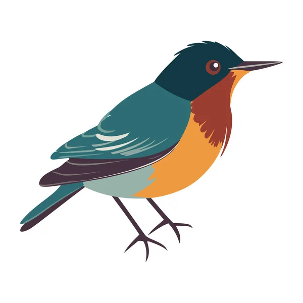 Roztomilý Malý Pták Barevné Peří Ikona Izolované — Stockový vektor