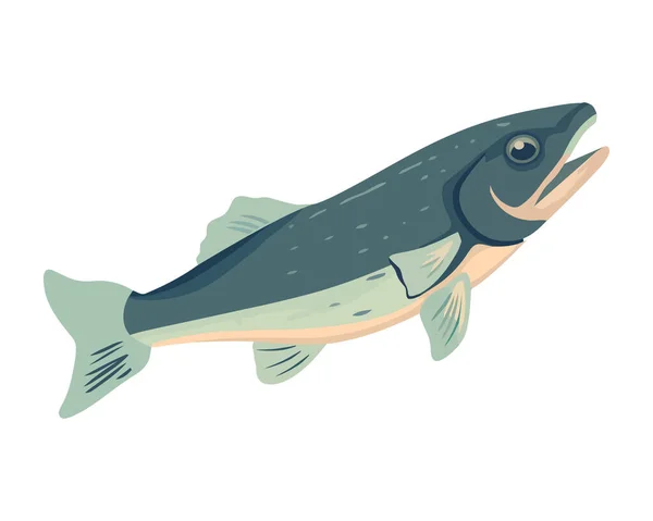 Roztomilé Ryby Plavání Sladké Vodě Lov Potravy Ikona Izolované — Stockový vektor