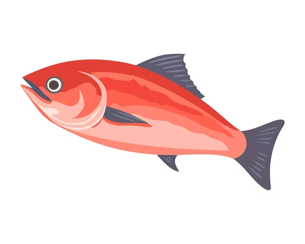Färsk Skaldjursmjöl Med Isolerad Sill Och Stjärtfenad Tonfisk — Stock vektor