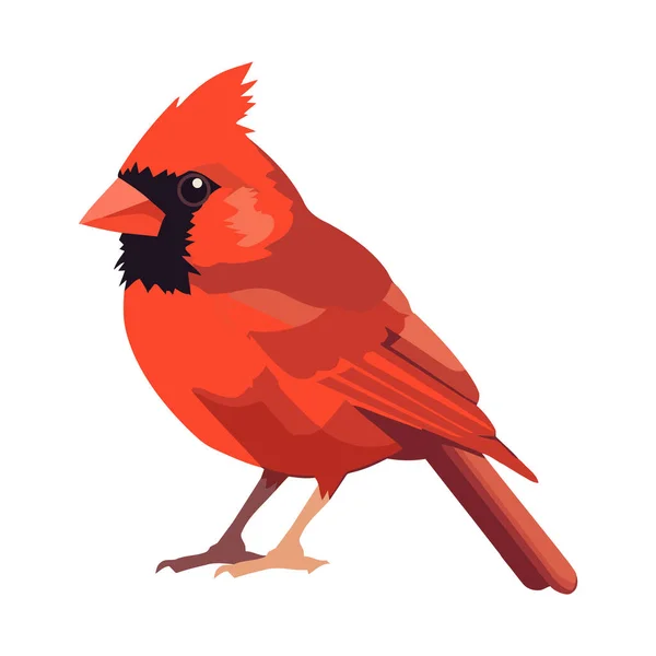 白色背景图标上孤立的小红麻雀 — 图库矢量图片