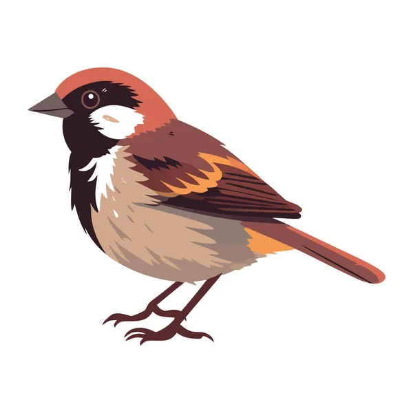 Petit Oiseau Moineau Plumes Brunes Icône Nature Isolé — Image vectorielle