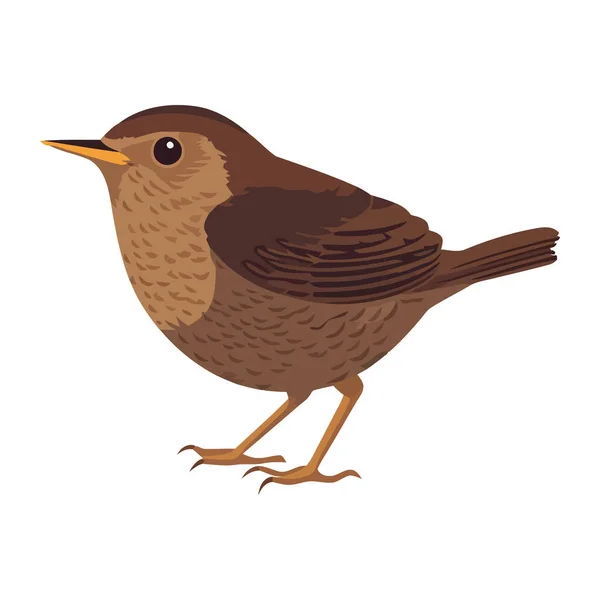 Malý Ptáček Zobákem Hnědým Pírkem Ikona Izolované — Stockový vektor