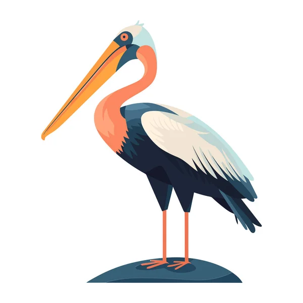 Pelicano Voador Com Ícone Bico Penas Isolado —  Vetores de Stock