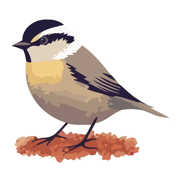Petit Oiseau Avec Des Graines Icône Illustration Mignon Isolé — Image vectorielle