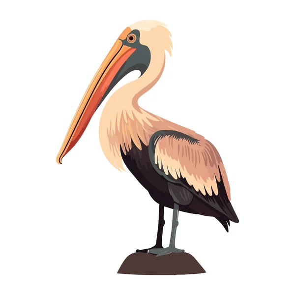 Fliegender Pelikan Mit Schnabel Voller Fische — Stockvektor
